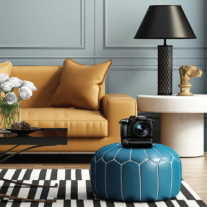 Cameras and Camcorders